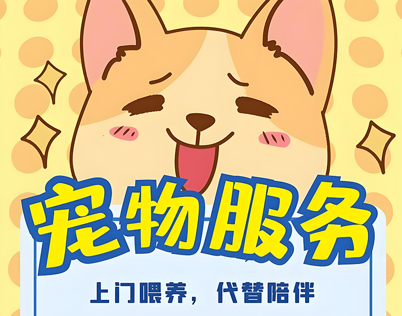 铲屎官上门喂养